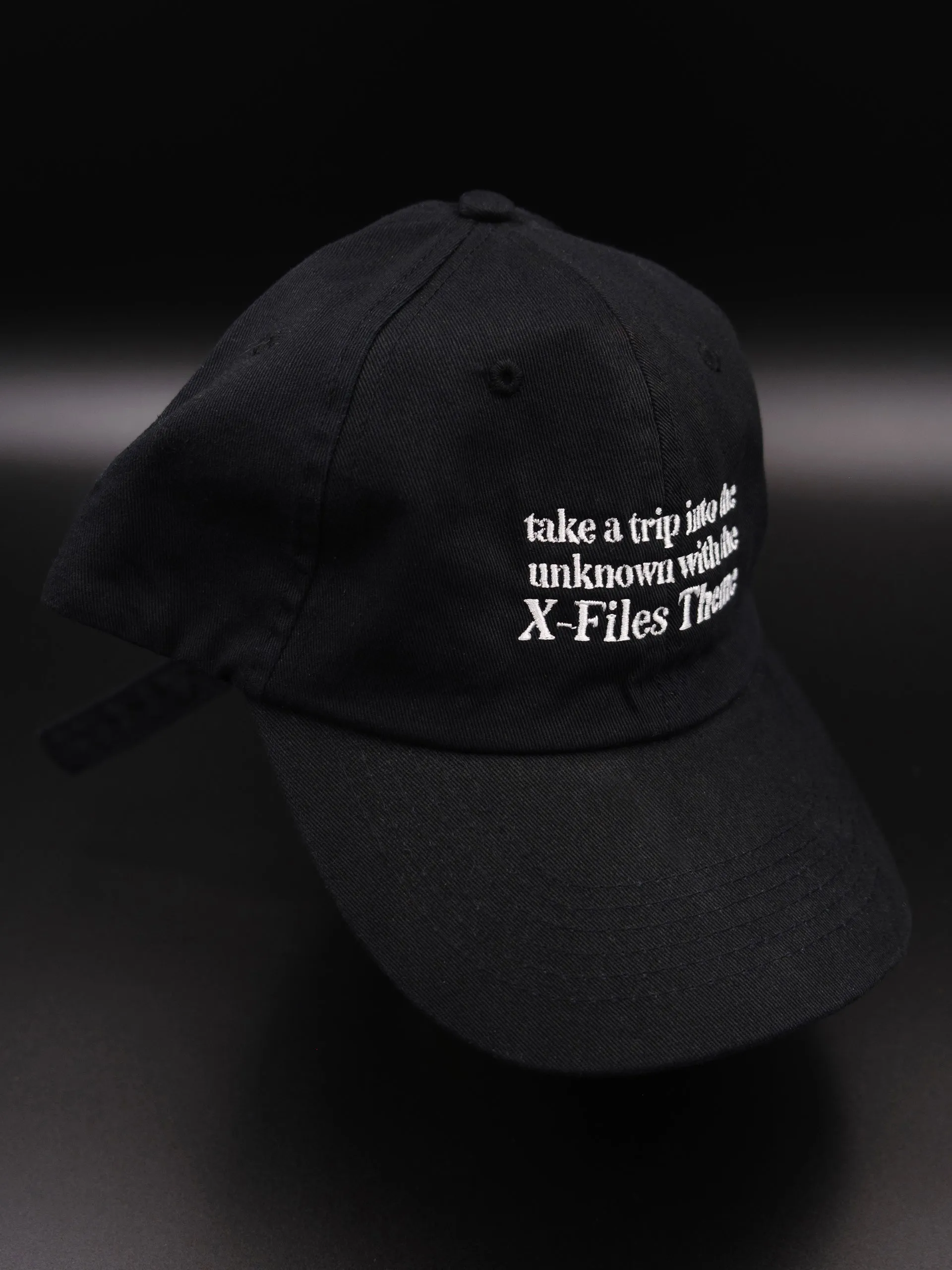 X-Files Theme Dad Hat